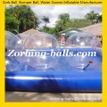 Ball 79 Human Hamster Water Balls for Pool USA Worldwide