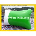 Water Blob Pillow